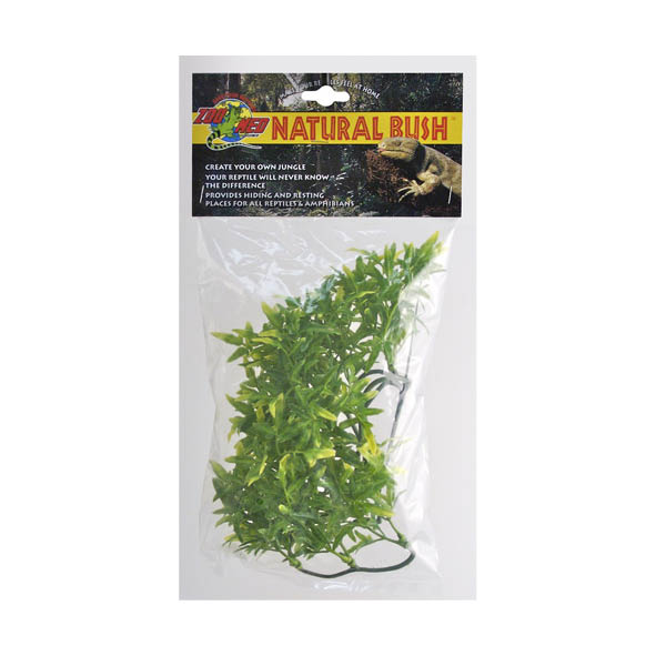 Large Bolivian Croton
