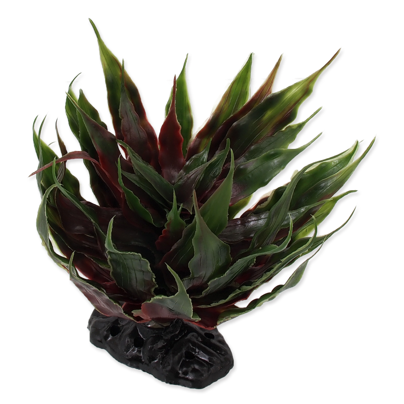 RP Plant Sukulent Agave green 18cm @