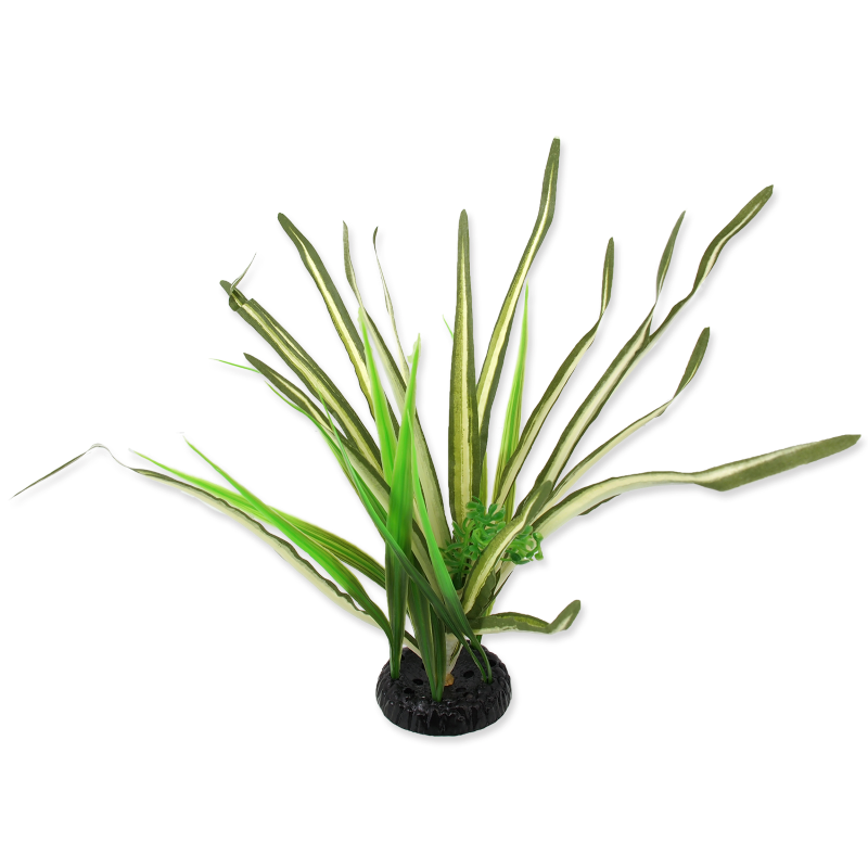 RP Plant Spartina 30cm @