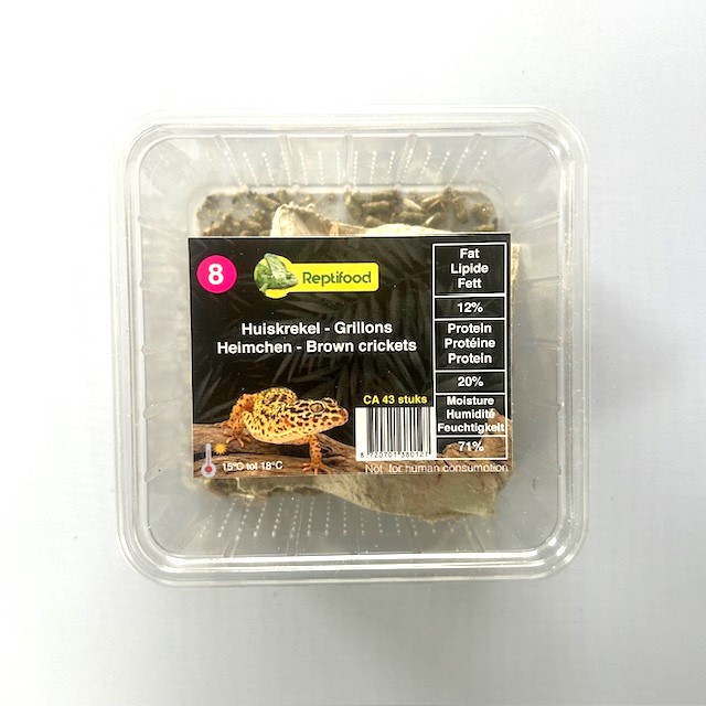 Huiskrekel maat 8 in doosje